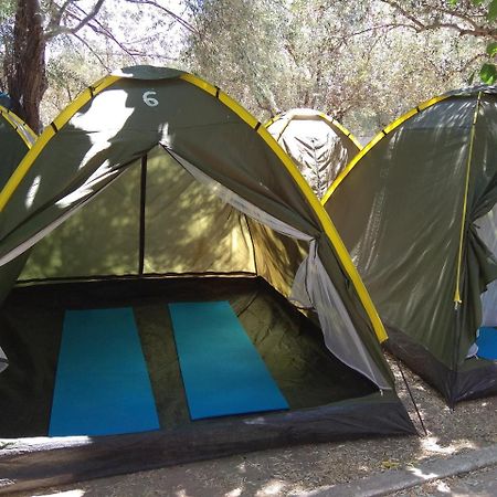 Camping Koula Párosz Kültér fotó